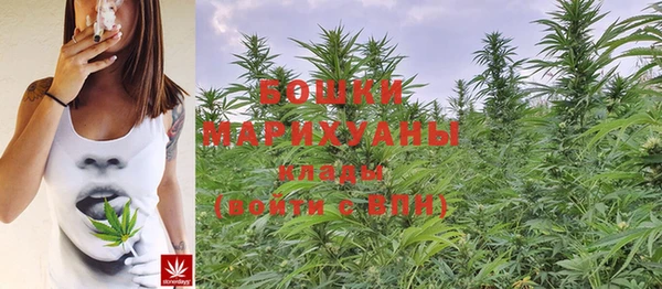 альфа пвп Нея