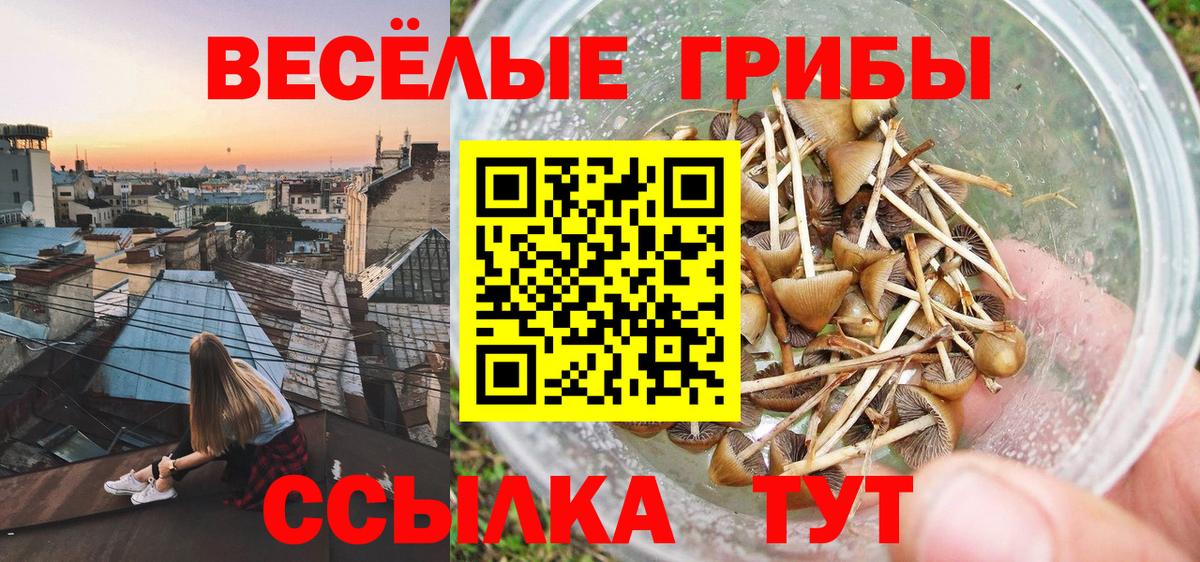 Ангарск  Галлюциногенные грибы мухоморы  где купить наркоту  Вход с VPN 