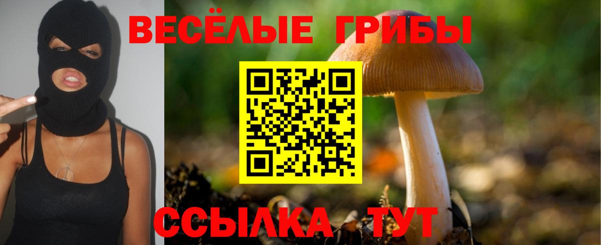 Псилоцибиновые грибы прущие грибы Ангарск